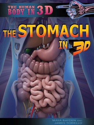 cover image of The Stomach in 3D